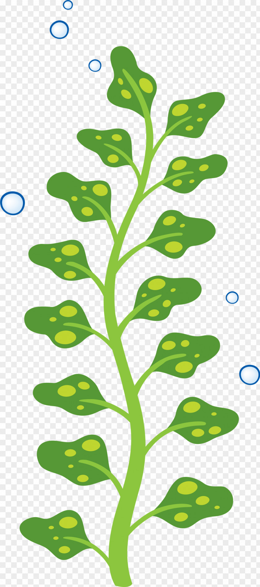 Child Sticker Parede Wall Algae PNG