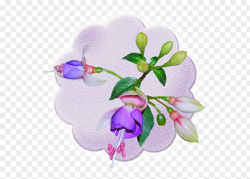 Floral Design Cut Flowers Artificial Flower Clip Art PNG