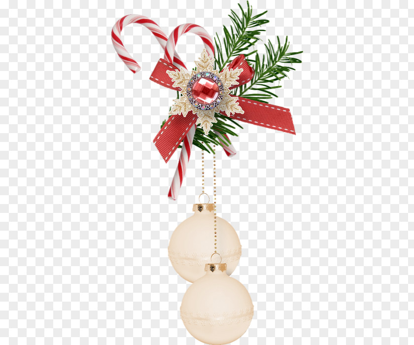 Holly Pine Merry Christmas Design PNG