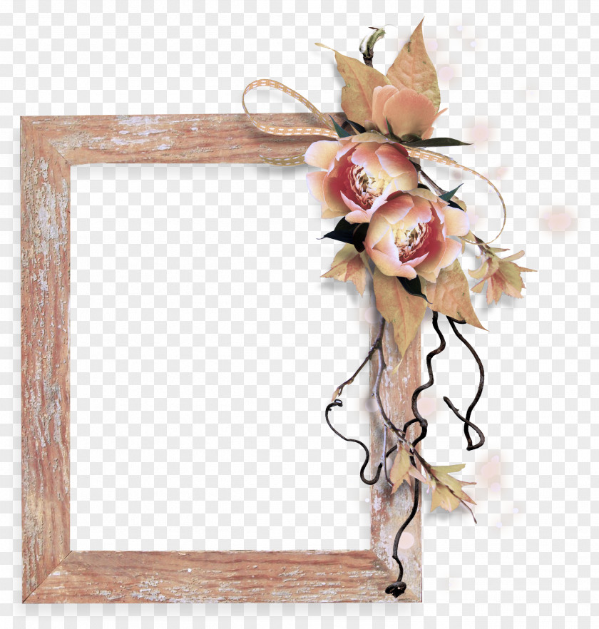 Plant Twig Picture Frame PNG