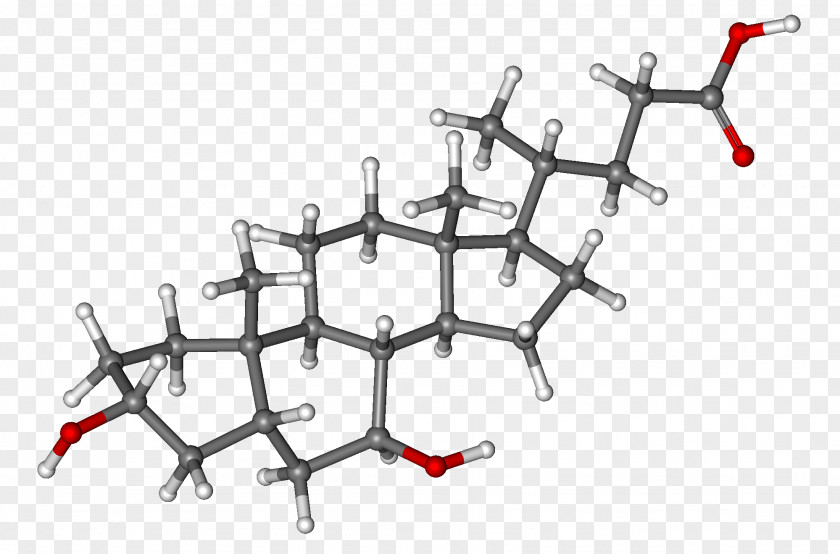 Bar Code Ursodiol Bile Acid Liver Molecule PNG