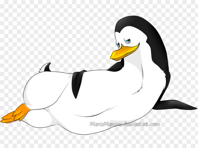 Duck Penguin Beak Cartoon Clip Art PNG