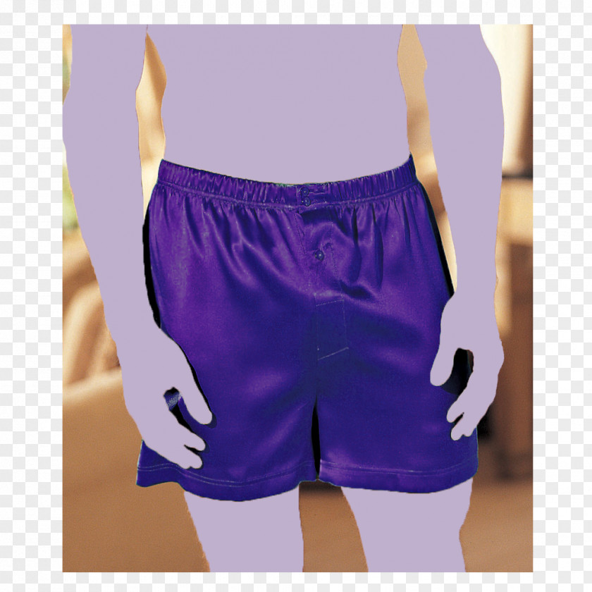Fly Underpants Trunks Boxer Shorts Briefs PNG