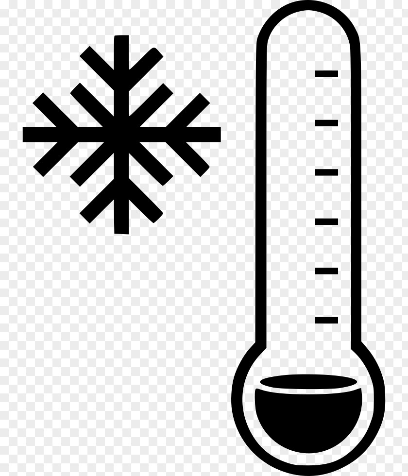 Snowflake Cold Temperature Clip Art PNG