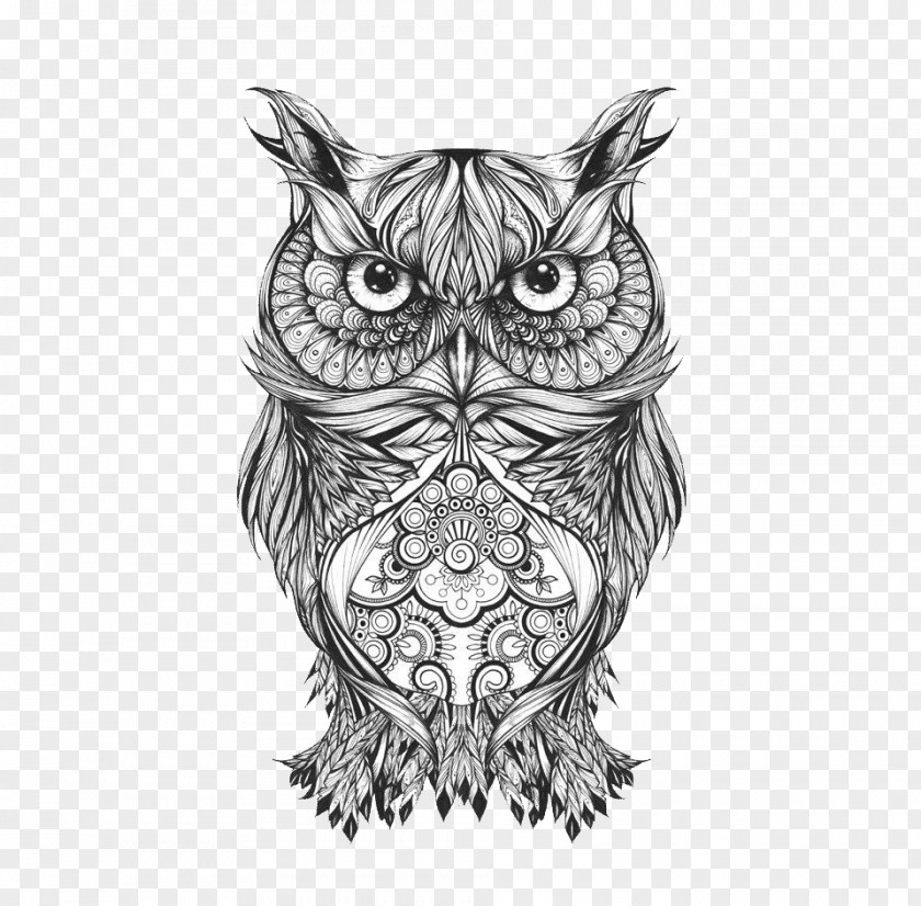 Tattoo Owl Drawing Body Art Sketch PNG