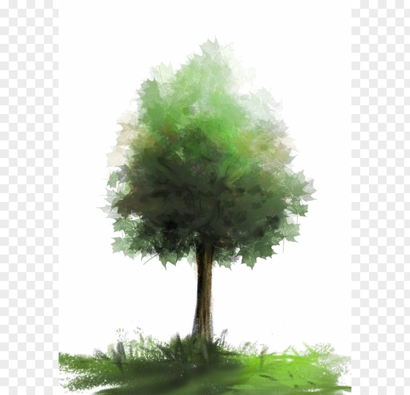 Tree Brush Watercolor Painting PNG