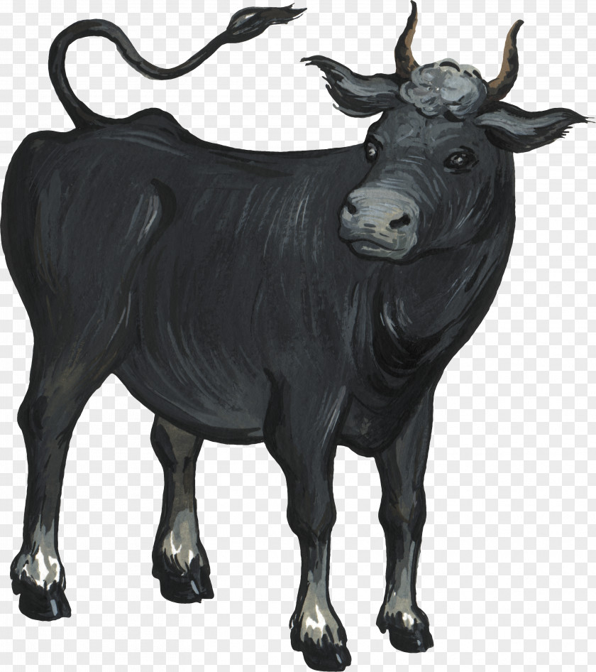 Clarabelle Cow Cattle Ox Bull Livestock PNG