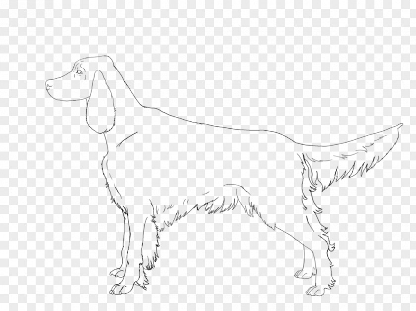 Dog Breed Sporting Group White Sketch PNG