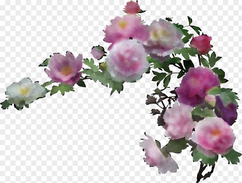 Floral Design PNG