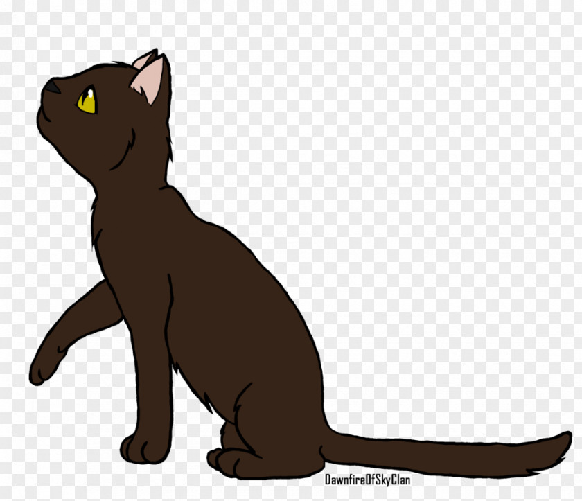 Kitten Whiskers Domestic Short-haired Cat Black PNG