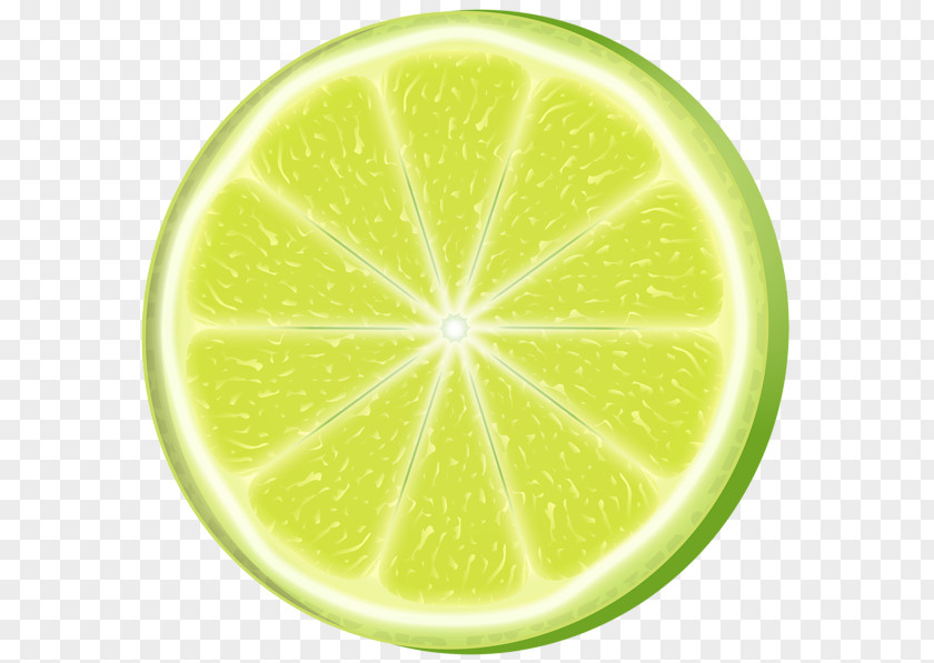 Lemon Slices California Key Lime Mandarin Orange PNG