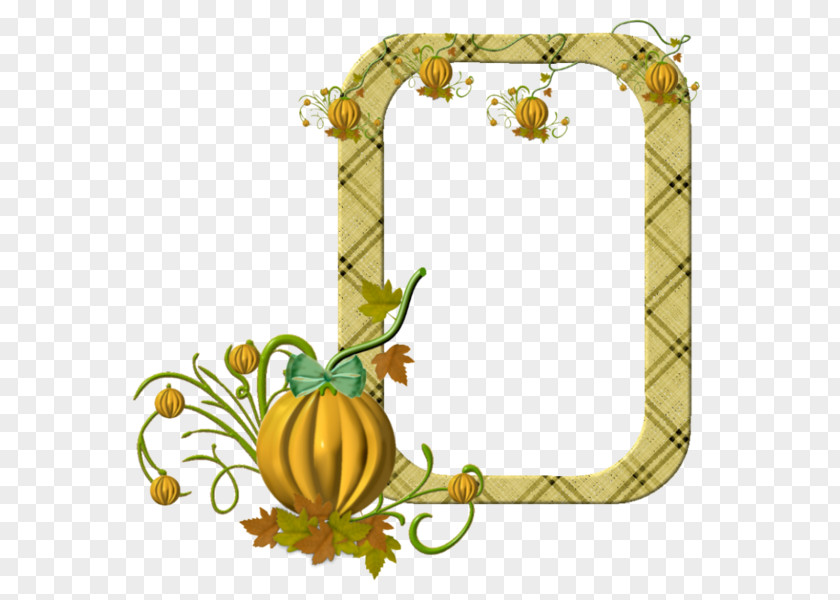Picture Frames Preview PNG