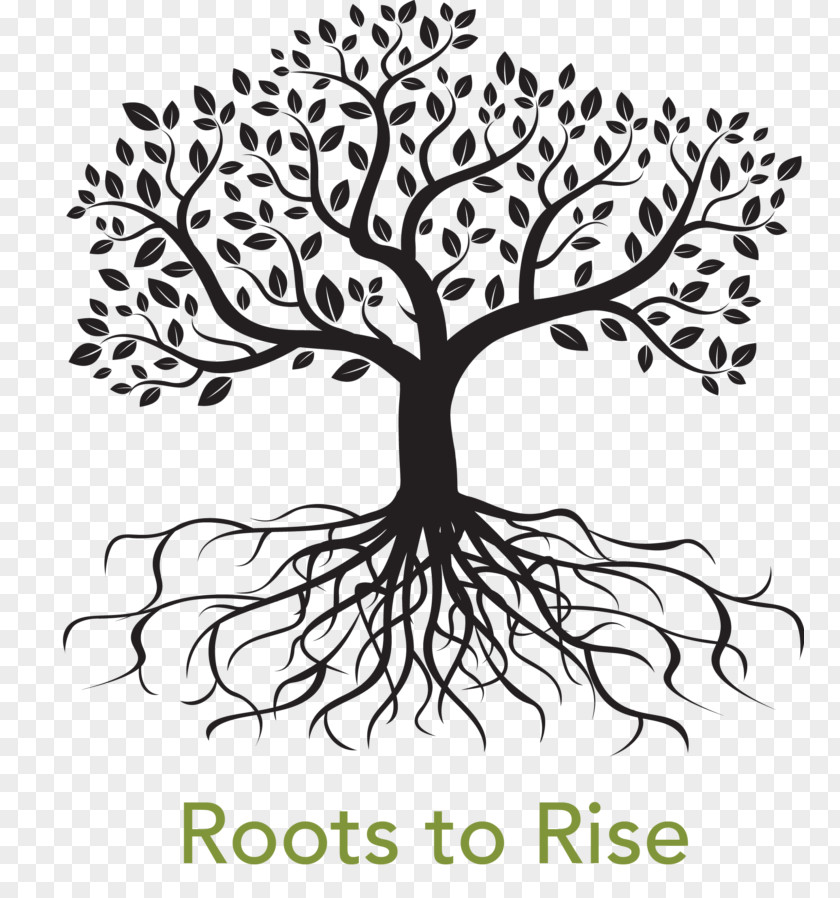 Tree Celtic Design Of Life Root Clip Art PNG