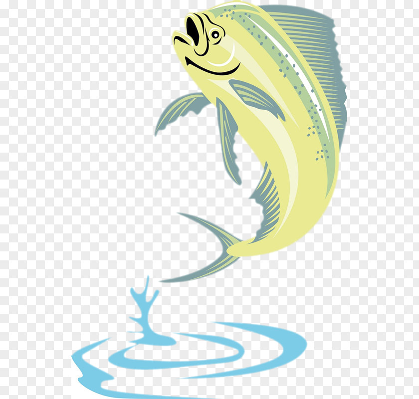 Yellow Fish Mahi-mahi Royalty-free Stock Photography Illustration PNG