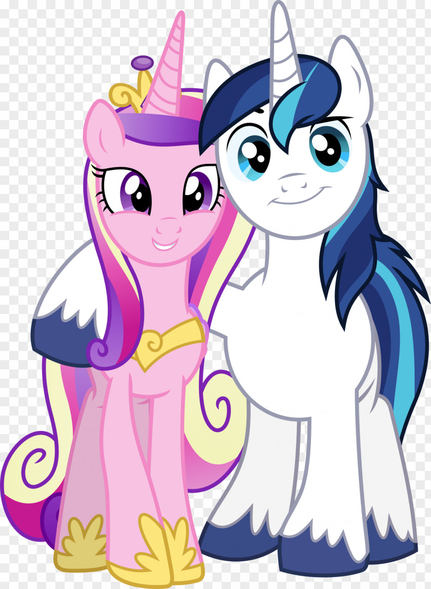 Flurries Vector Princess Cadance Shining Armor Twilight Sparkle Pinkie Pie Pony PNG