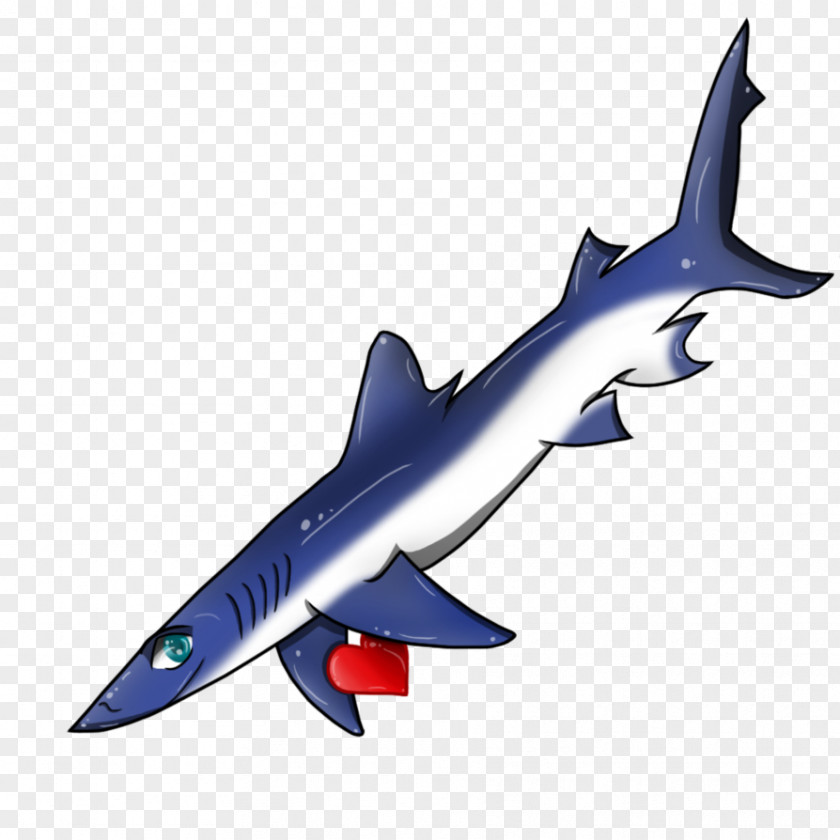 Squaliform Sharks Requiem Blue Shark Jumping The Great White PNG