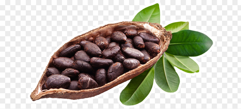 Sugar Beet Cocoa Bean Antico Forno Di Garavaglia Fulvio & C. Snc Chocolate Bar Dietary Supplement Food PNG