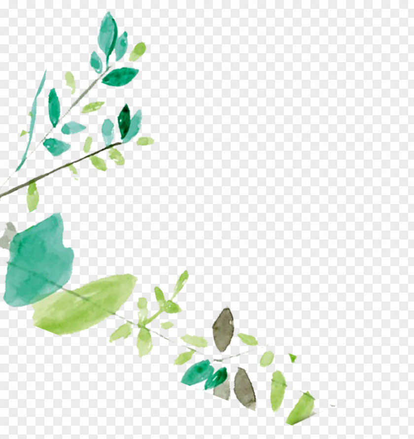 Women Hand-painted Leaves Leaf Poster PNG
