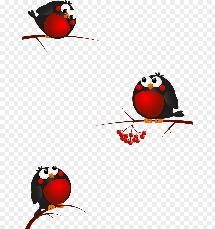 Christmas Bird Clip Art PNG