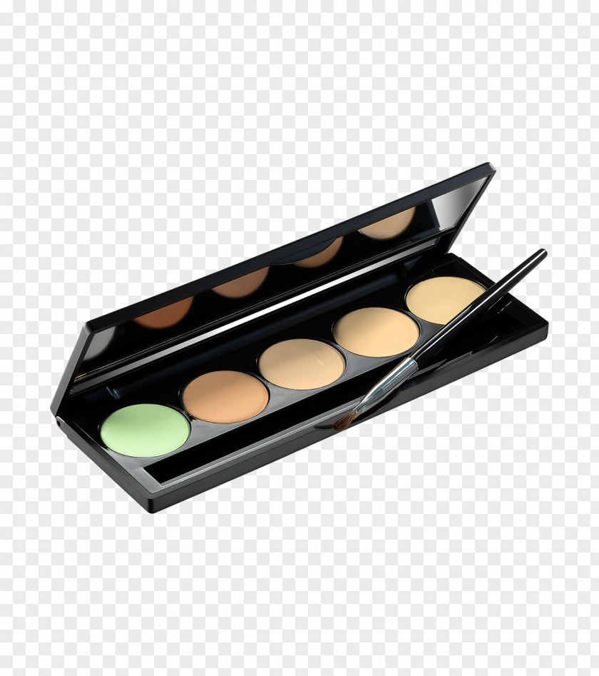 Complexion BH Cosmetics 6 Color Concealer & Corrector Palette Peggy Sage Make-up PNG