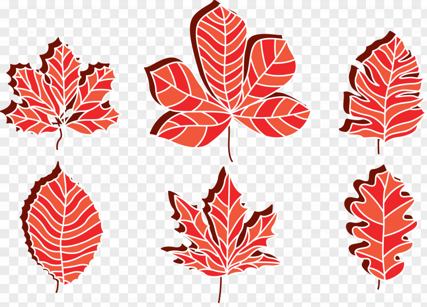 Japanese Maple Leaf Material PNG