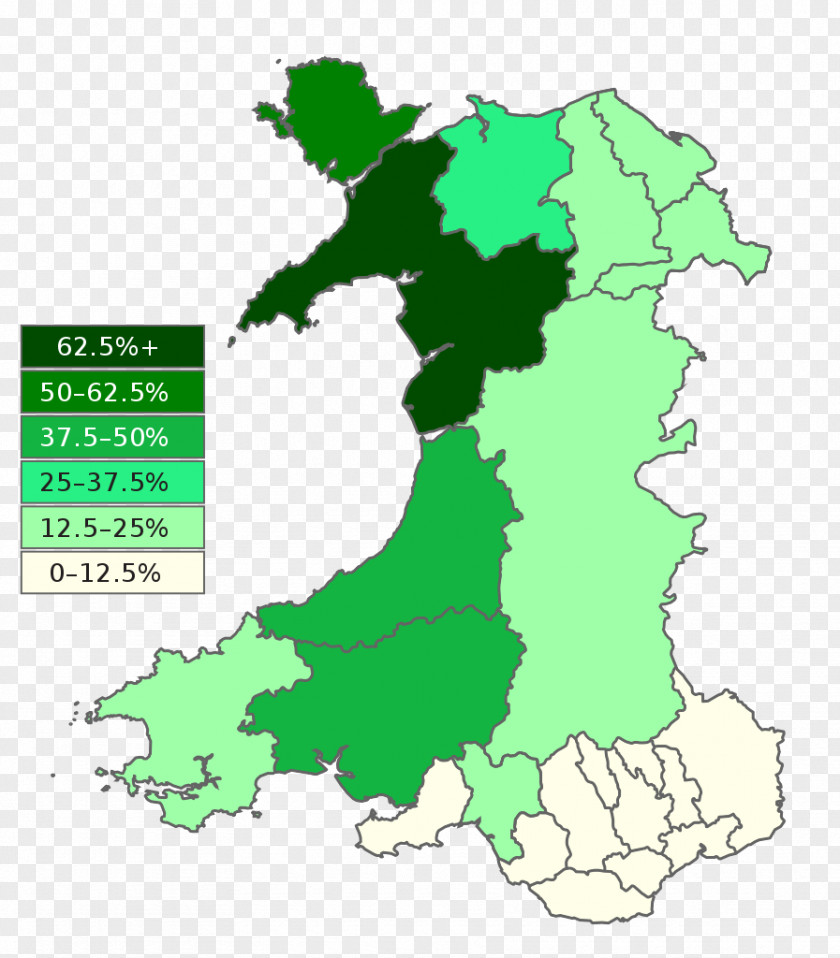 Measure Of The National Assembly For Wales Welsh Language Commissioner Dolgellau Swansea English And PNG