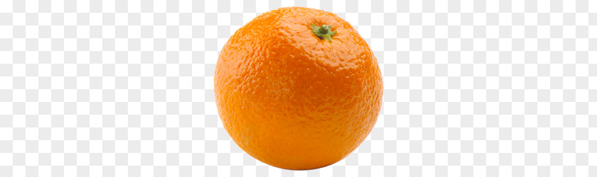 Orange PNG clipart PNG