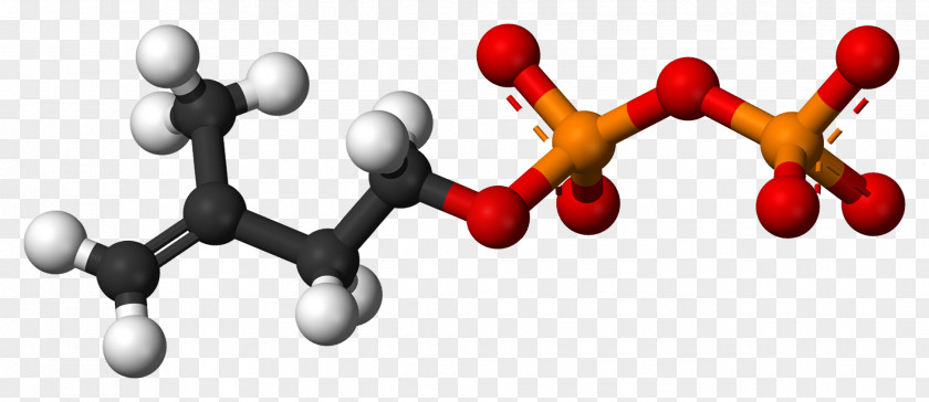 Rose Geraniol Oil Monoterpene Molecule PNG