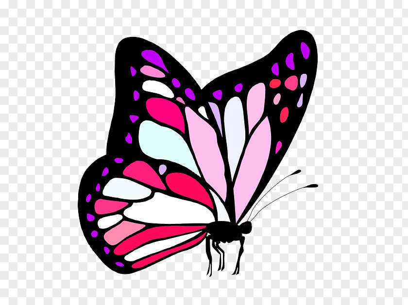 Brushfooted Butterfly Wing Pink Moths And Butterflies Insect Clip Art PNG