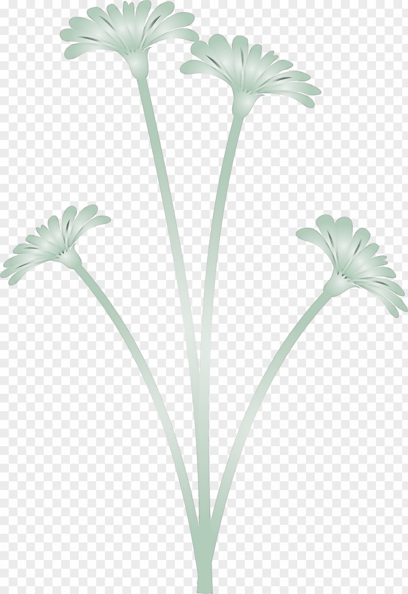 Dandelion Flower PNG