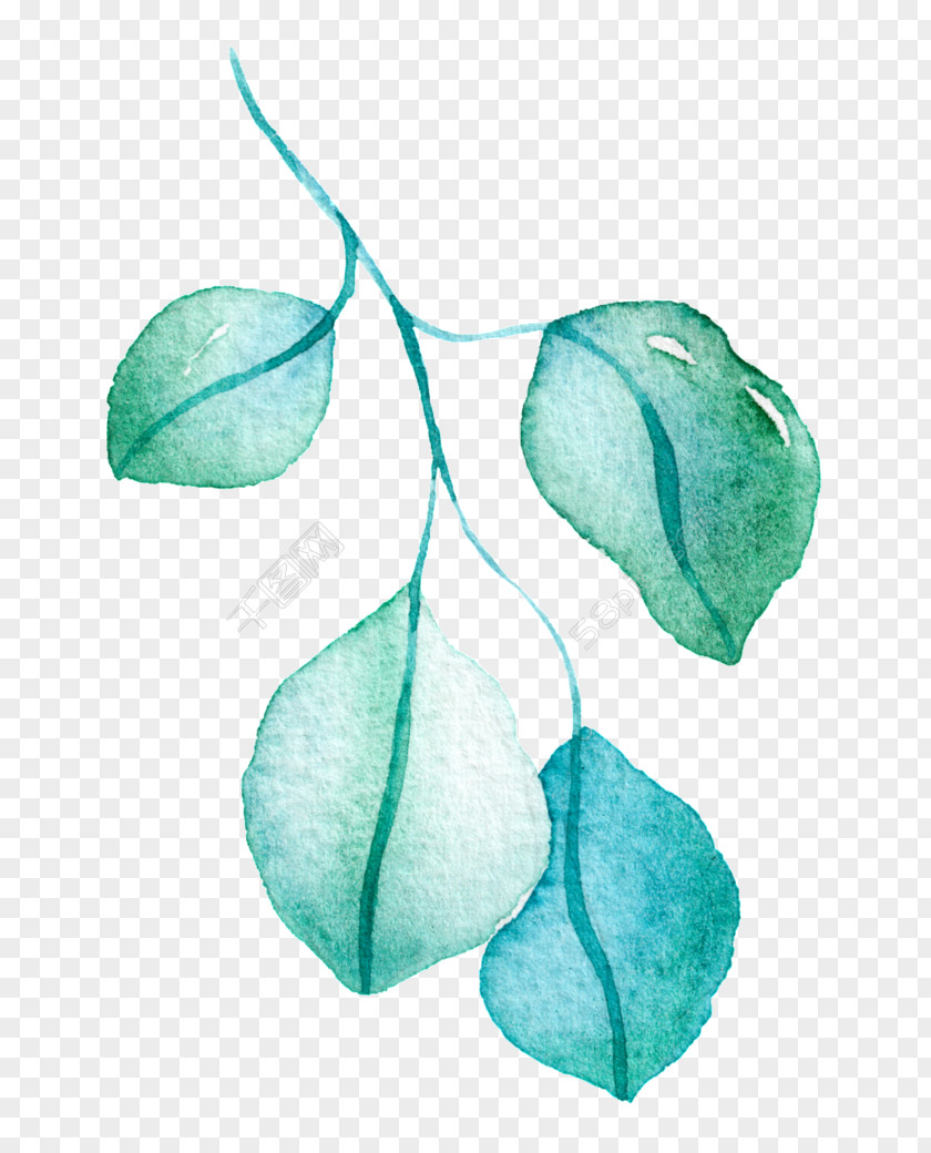 Leaf Watercolor Painting Green Drawing PNG