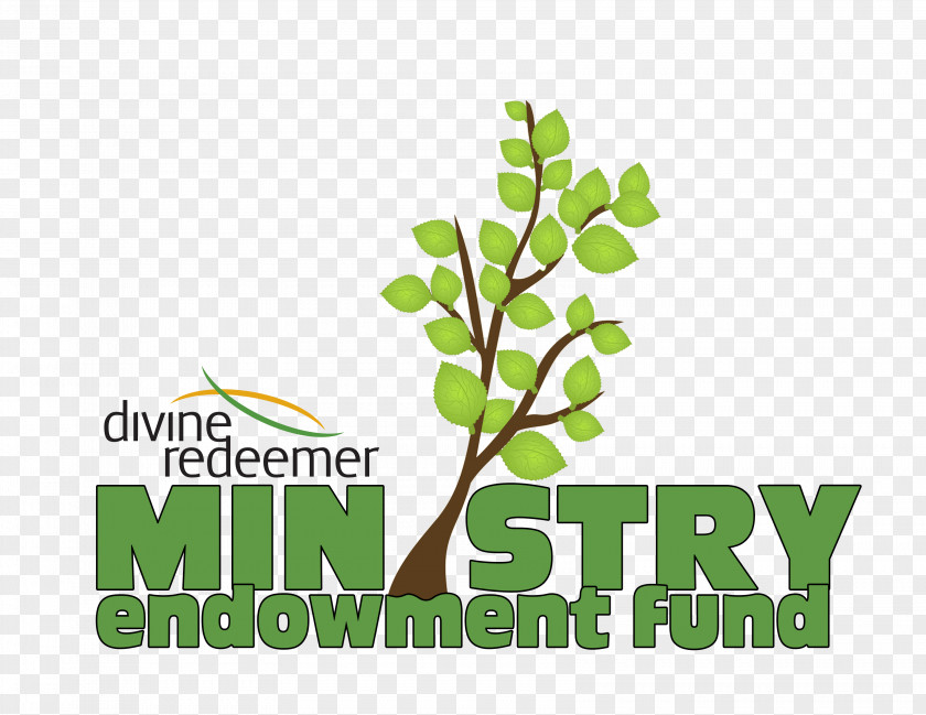 School Homeschooling Divine Redeemer Lutheran Church Logo PNG