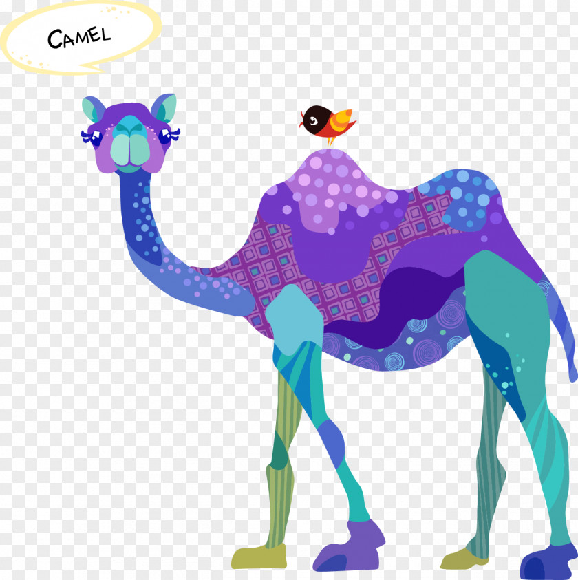 Camel Dromedary Train Drawing PNG