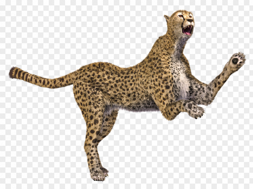 Cheetah Leopard Cat Animal 3D Computer Graphics PNG