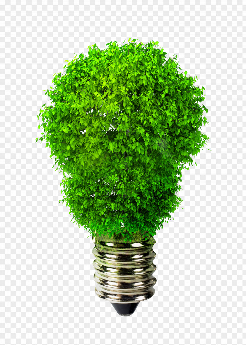 Creative Green Bulb Picture Incandescent Light Environmentally Friendly Renewable Energy PNG