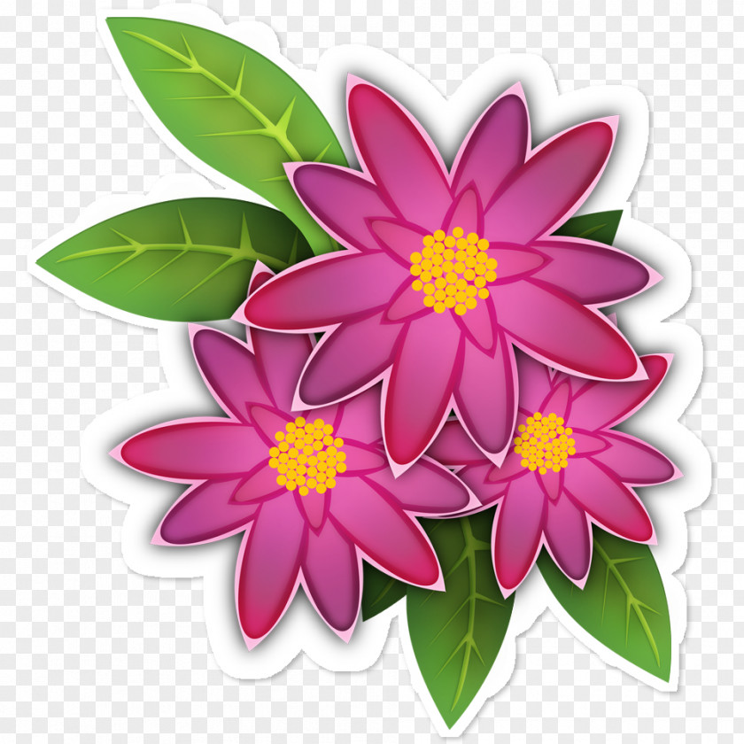 Flor Flower Drawing Color PNG