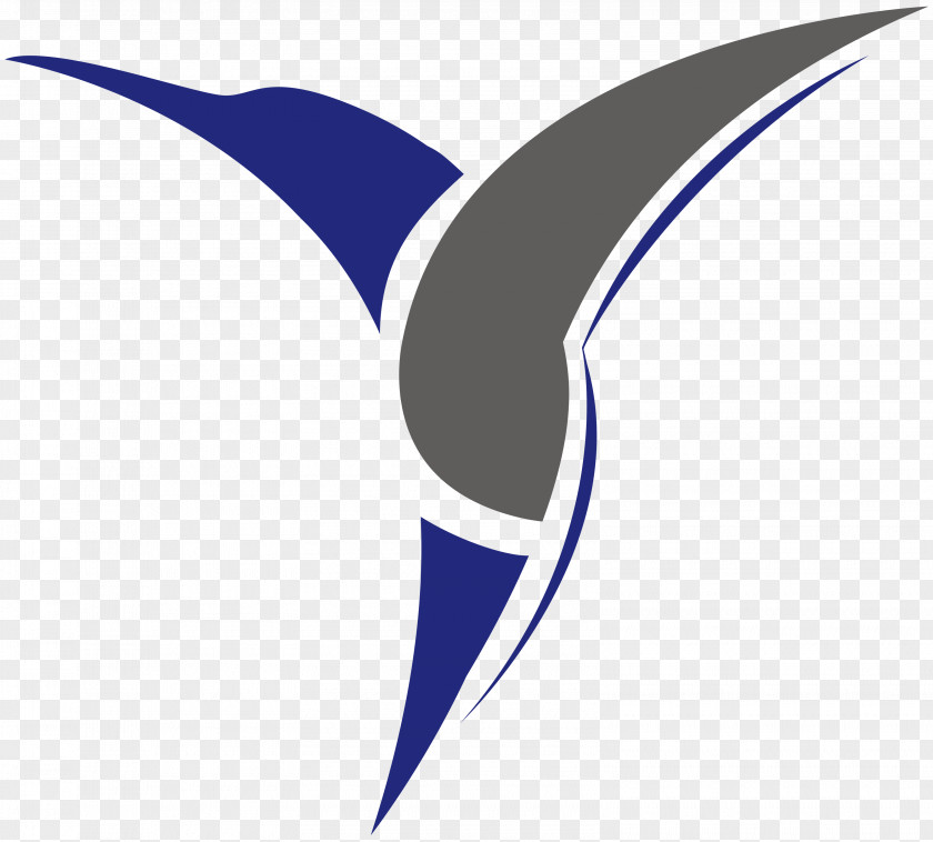 Hummingbird S U A Ltd Unmanned Aerial Vehicle Logo Flight PNG