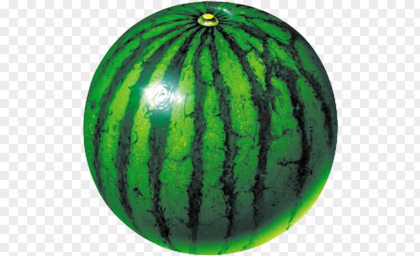 Melon Fruit 5 Watermelon Pixel Dungeon PNG