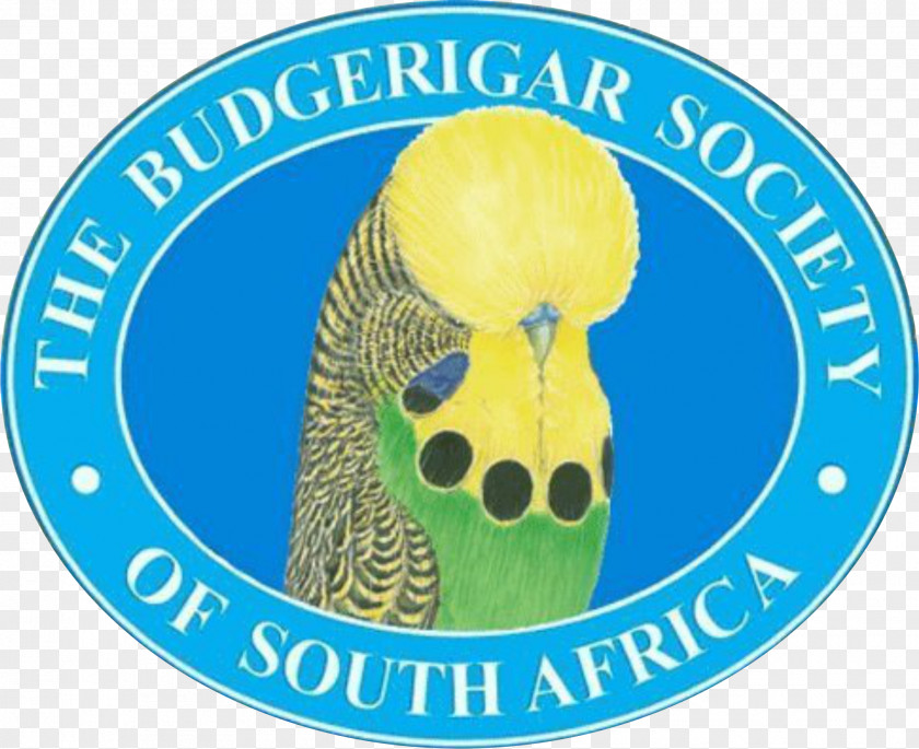Budgerigar Logo Product Bird Font PNG