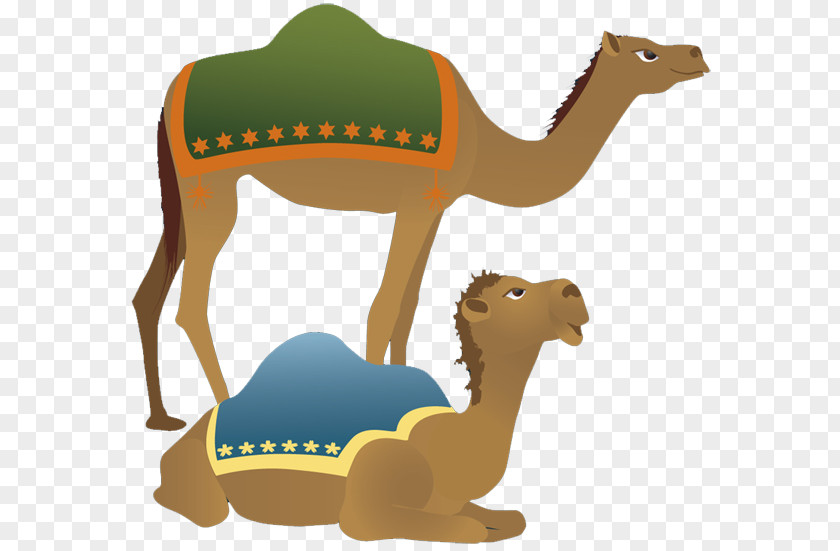 Camel Images Holy Family Nativity Scene Christmas Clip Art PNG