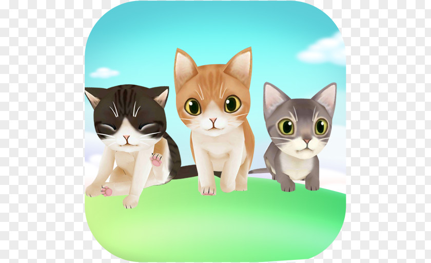 Cute Animal Care Game My Talking TomKitten Kitten Cat Virtual Pet Shop PNG