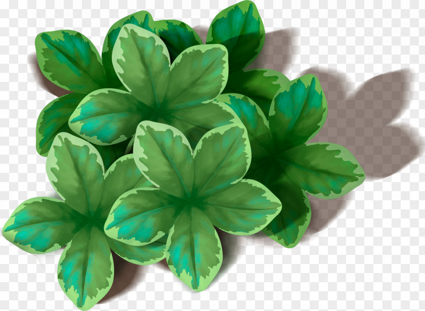 Green Leaf Petal PNG