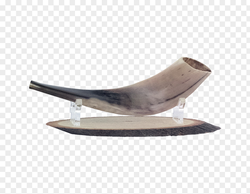 Judaism Jerusalem In Shofar Table PNG