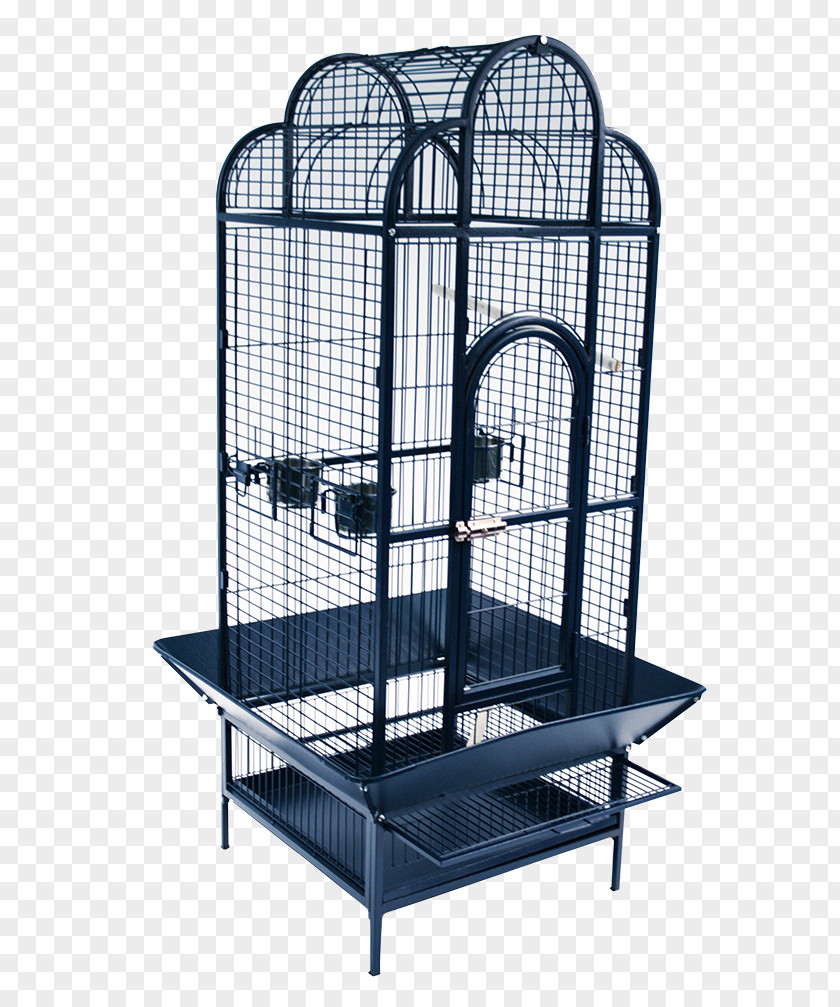 Bird Cage Parrots Guinea Pig Caique PNG