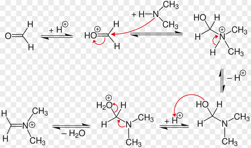Mannich Reaction Amine Aldehyde Base Keto–enol Tautomerism PNG