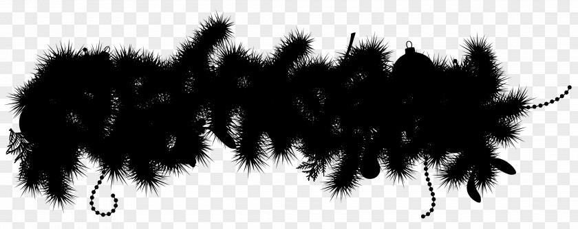 Pine Family Feather Tree Background PNG