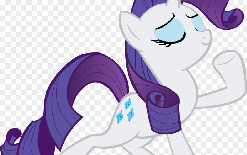 Rarity Rainbow Dash Pony Fluttershy PNG