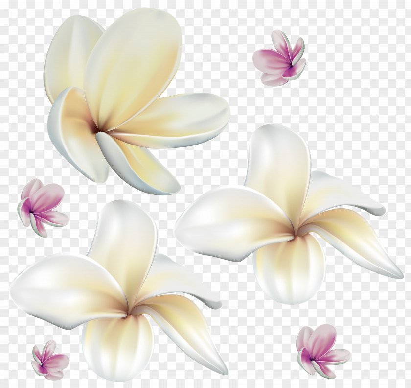 Soft Exotic Flowers Clip Art Image Flower PNG