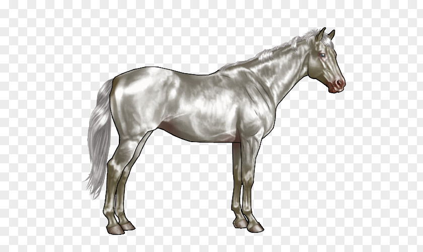 Yellowish Gray American Paint Horse Clydesdale Roan Black Bay PNG