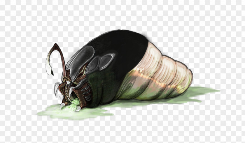 Jeepers Creepers Fauna Insect Scarab Pest Membrane PNG